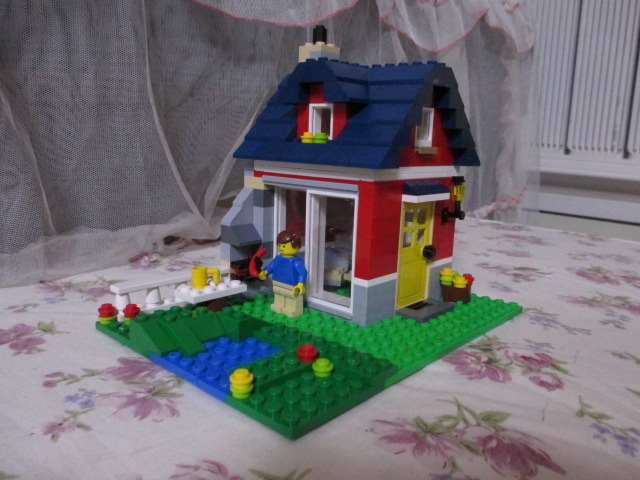 31009a.jpg
