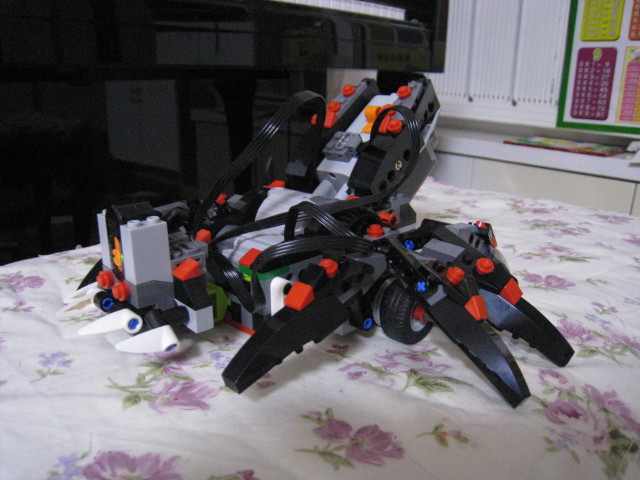 4958c.jpg