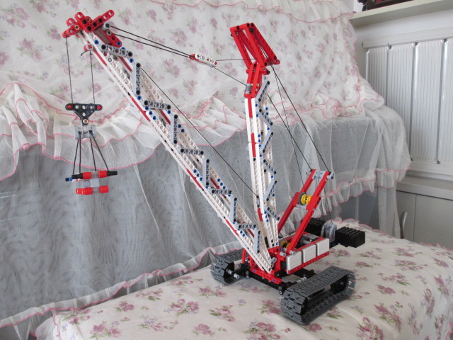8288a.jpg