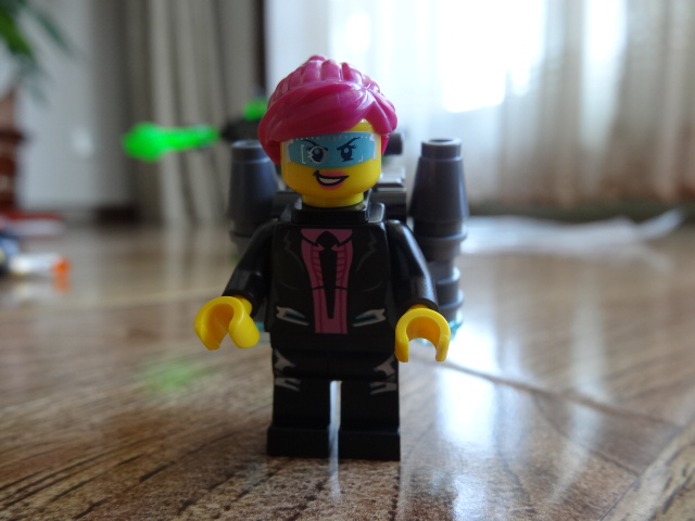 dsc00545.jpg