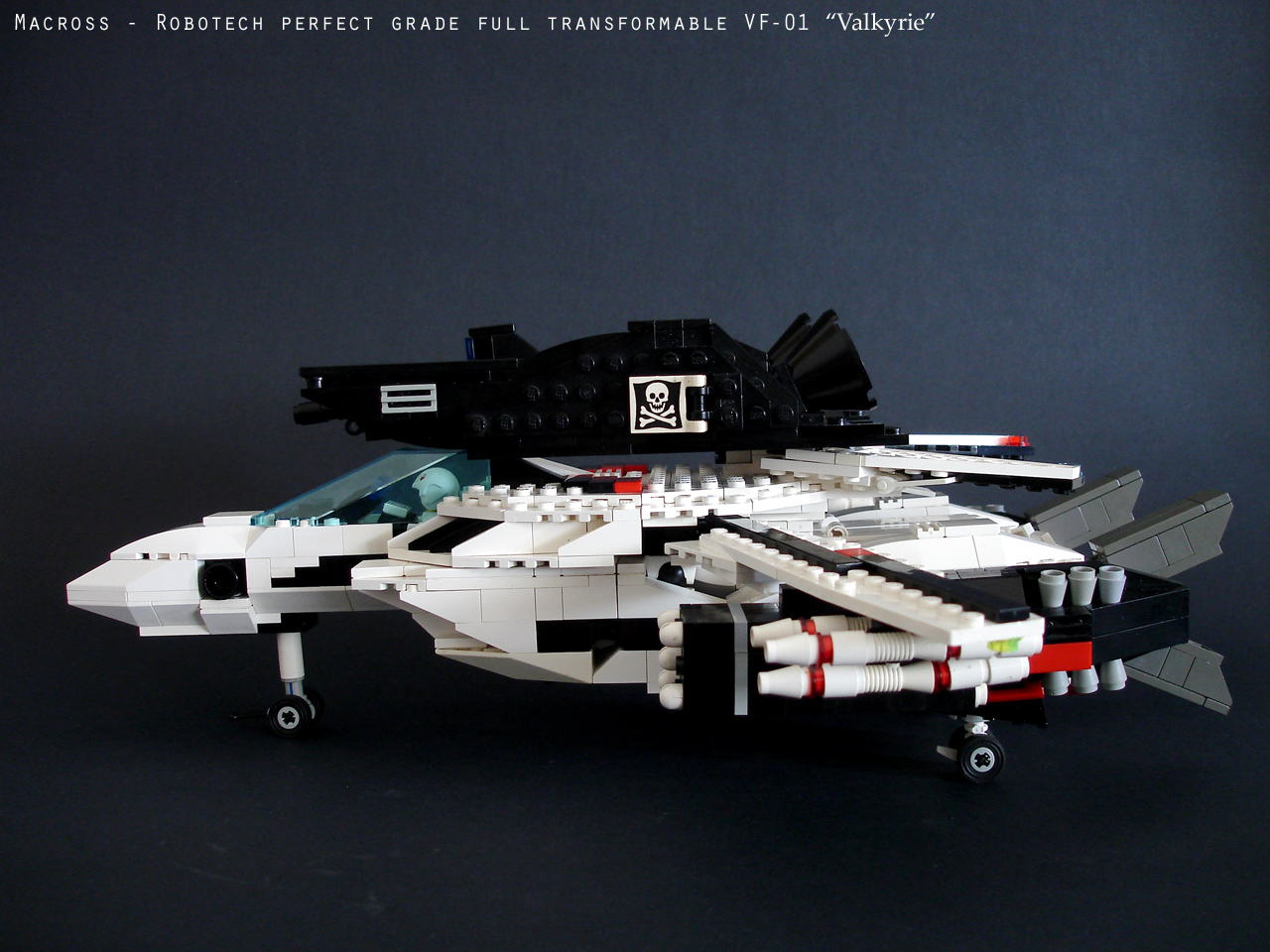 vf01_large004.jpg