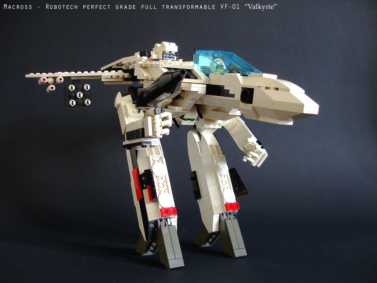 vf01_large013.jpg