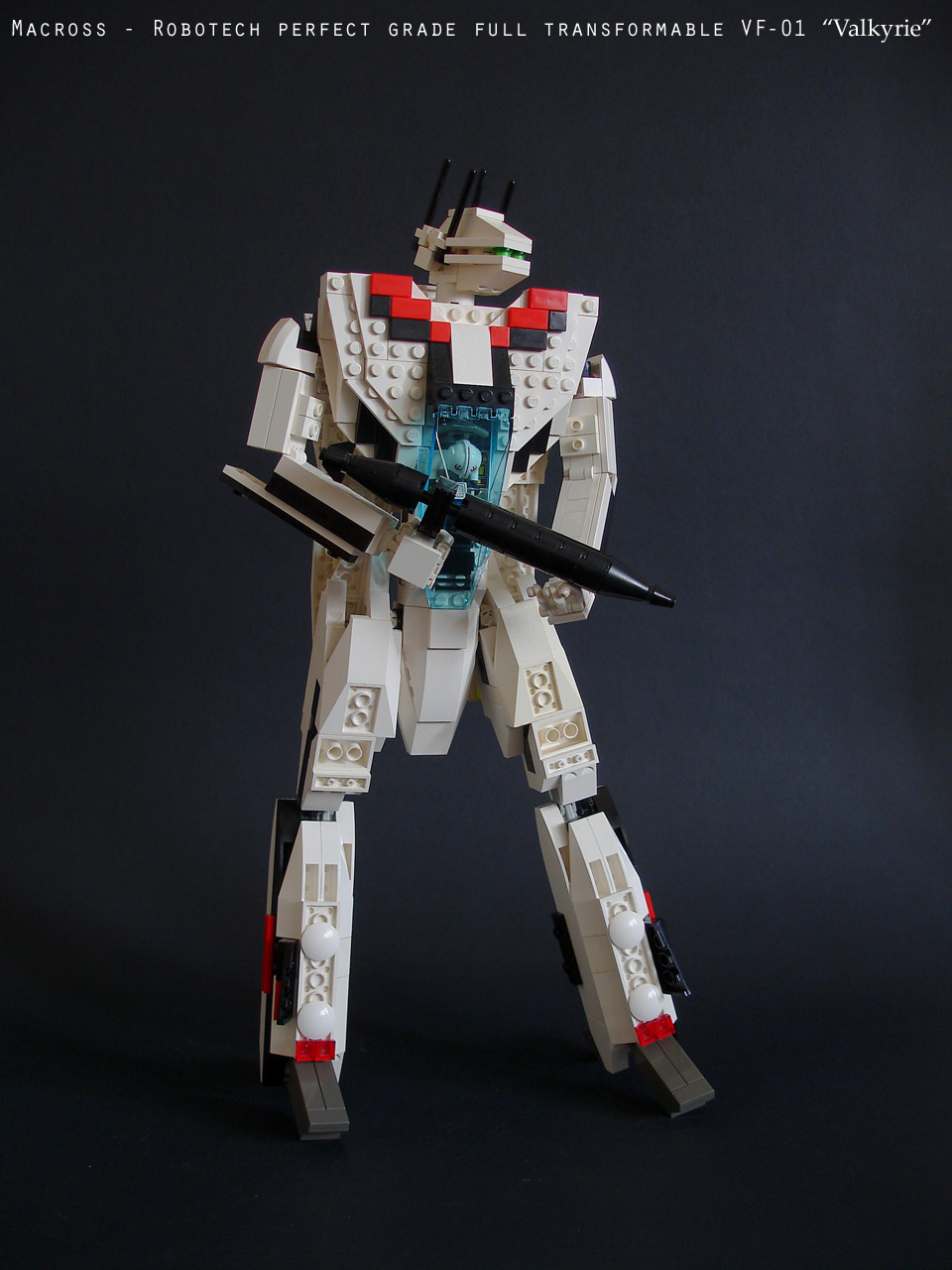 vf01_large014.jpg