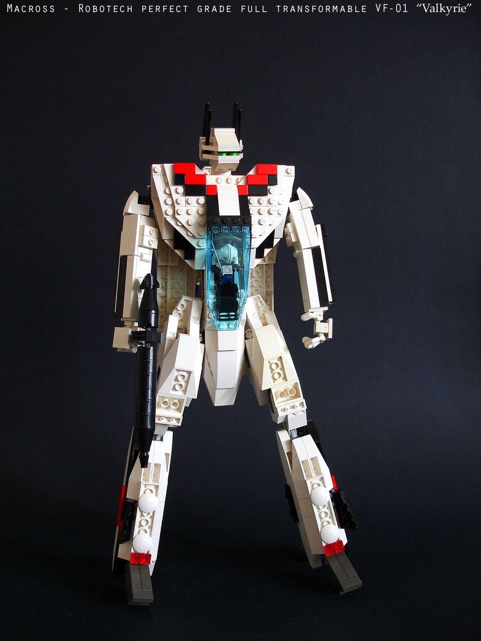 vf01_large017.jpg