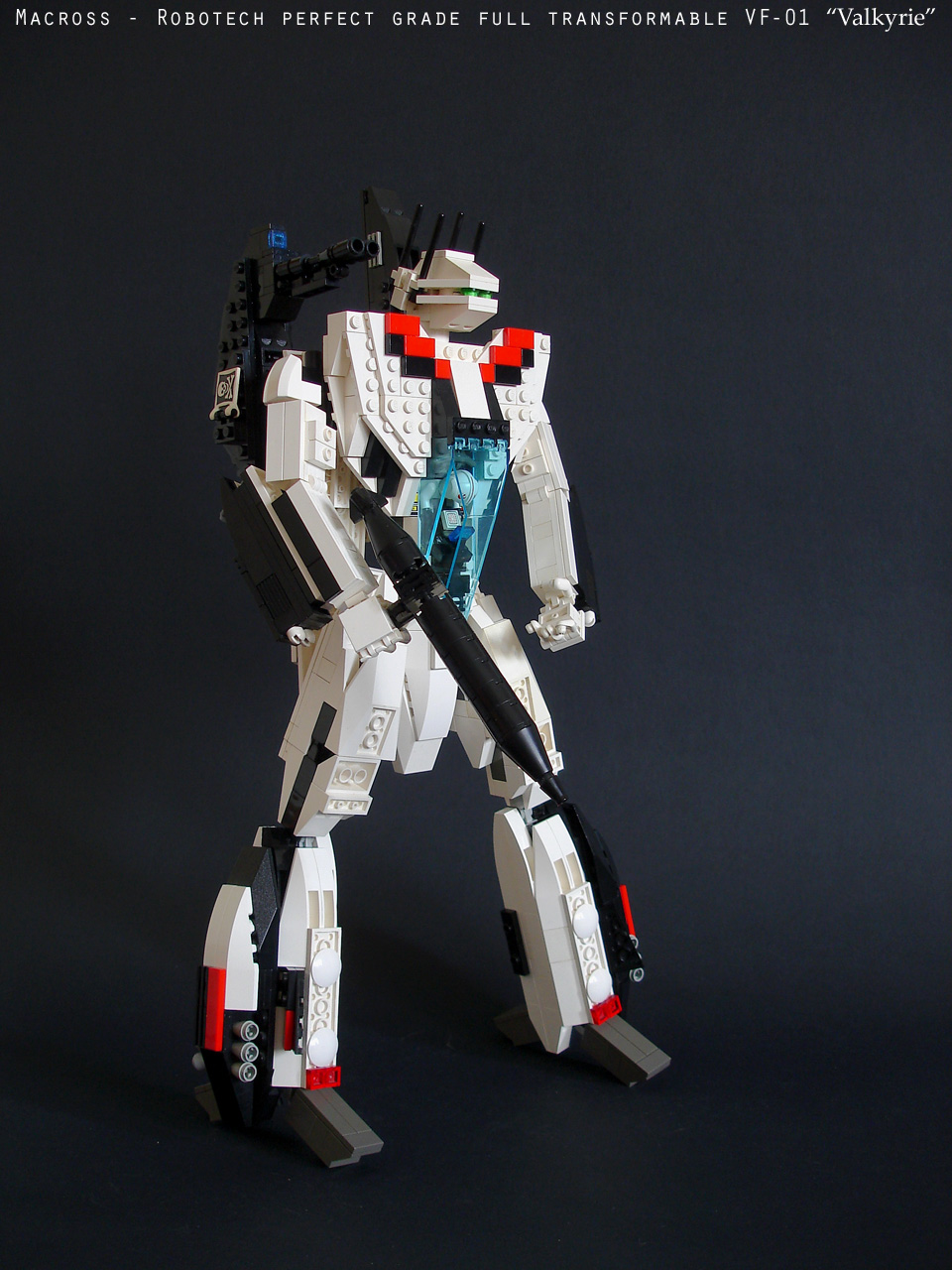 vf01_large018.jpg