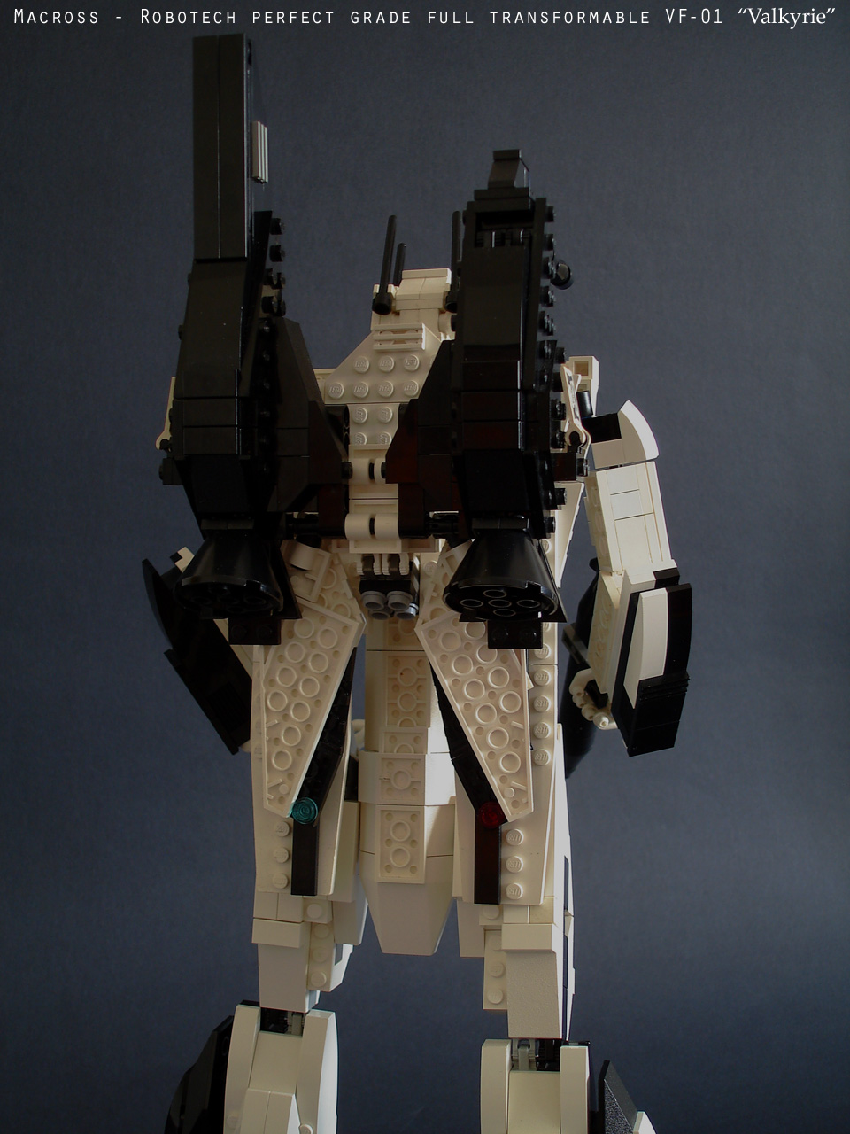 vf01_large019.jpg