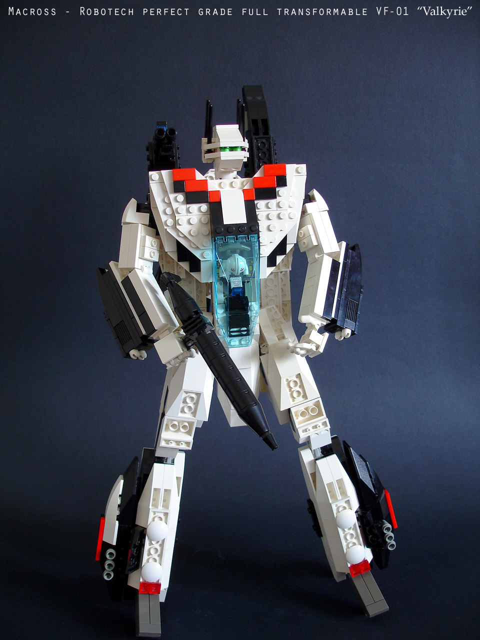 vf01_large020a.jpg