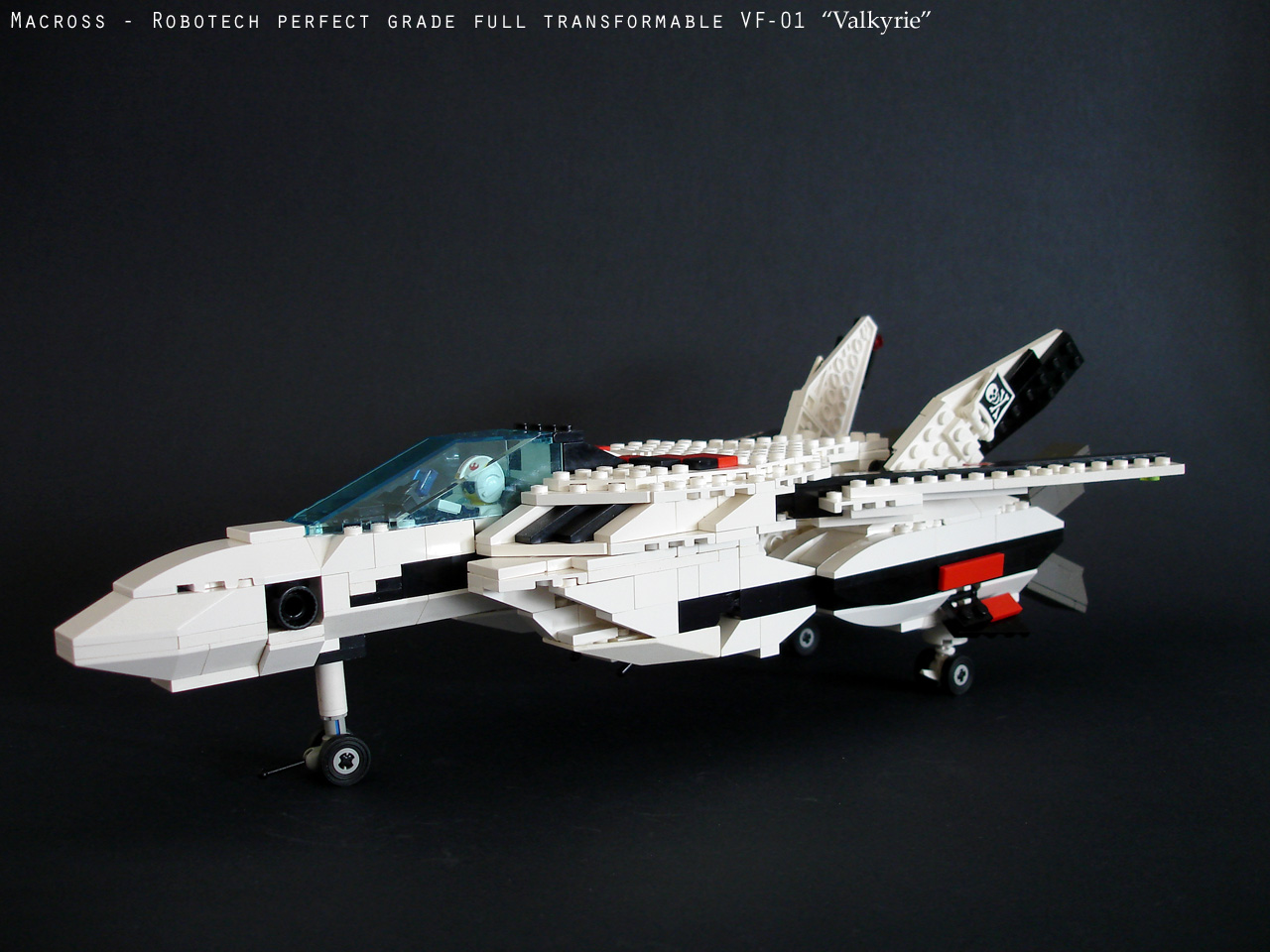 vf01_large022.jpg