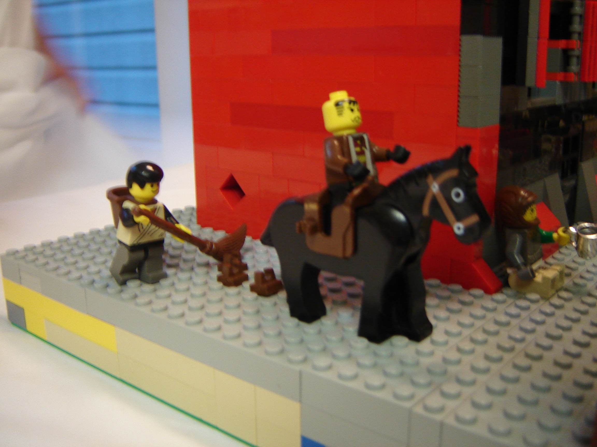 dsc01342.jpg