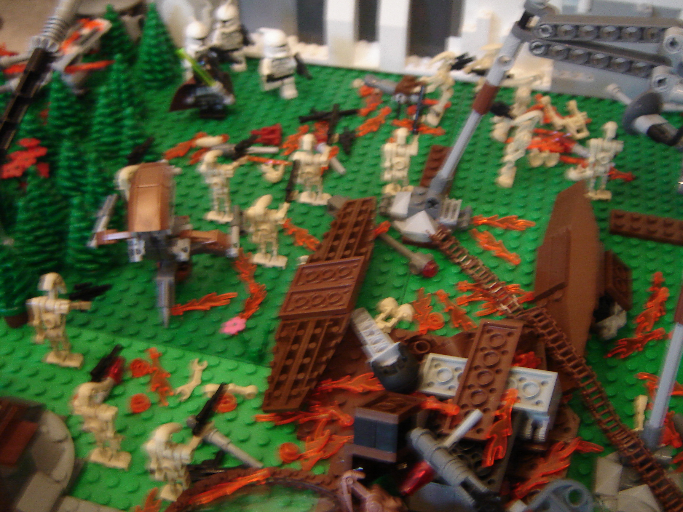 dsc01015.jpg