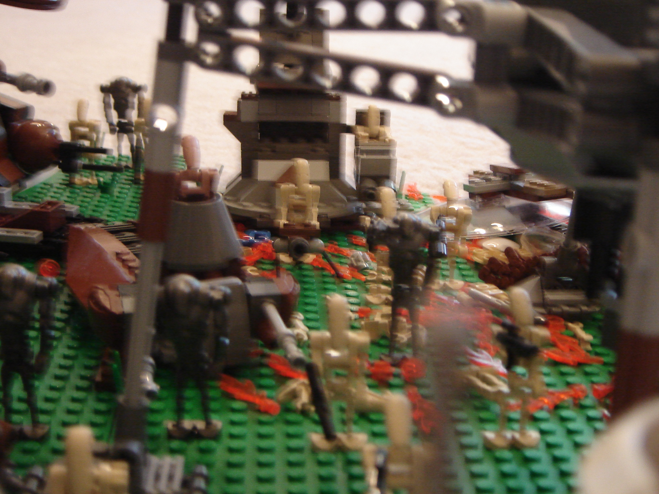 dsc01022.jpg
