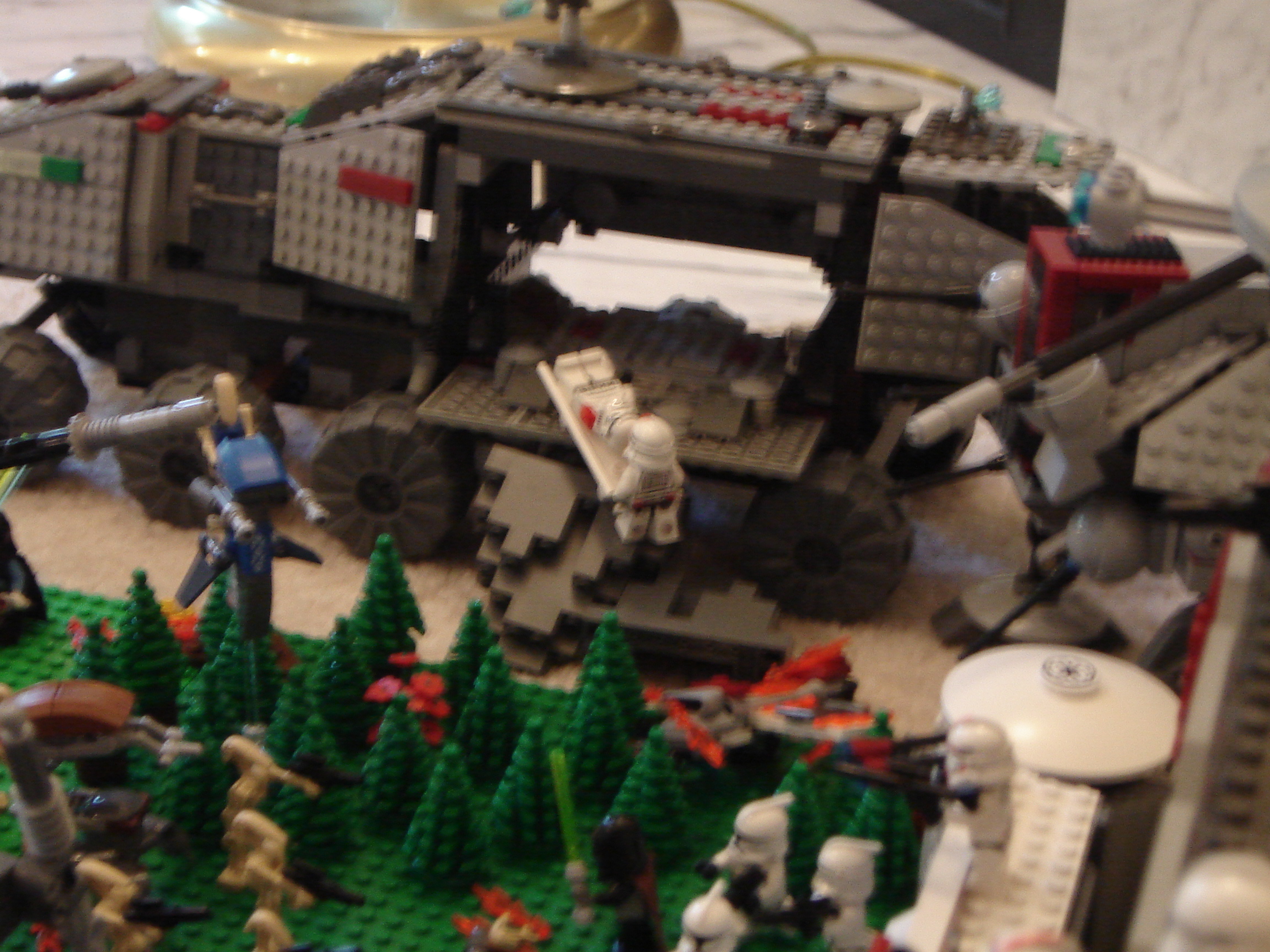 dsc01028.jpg