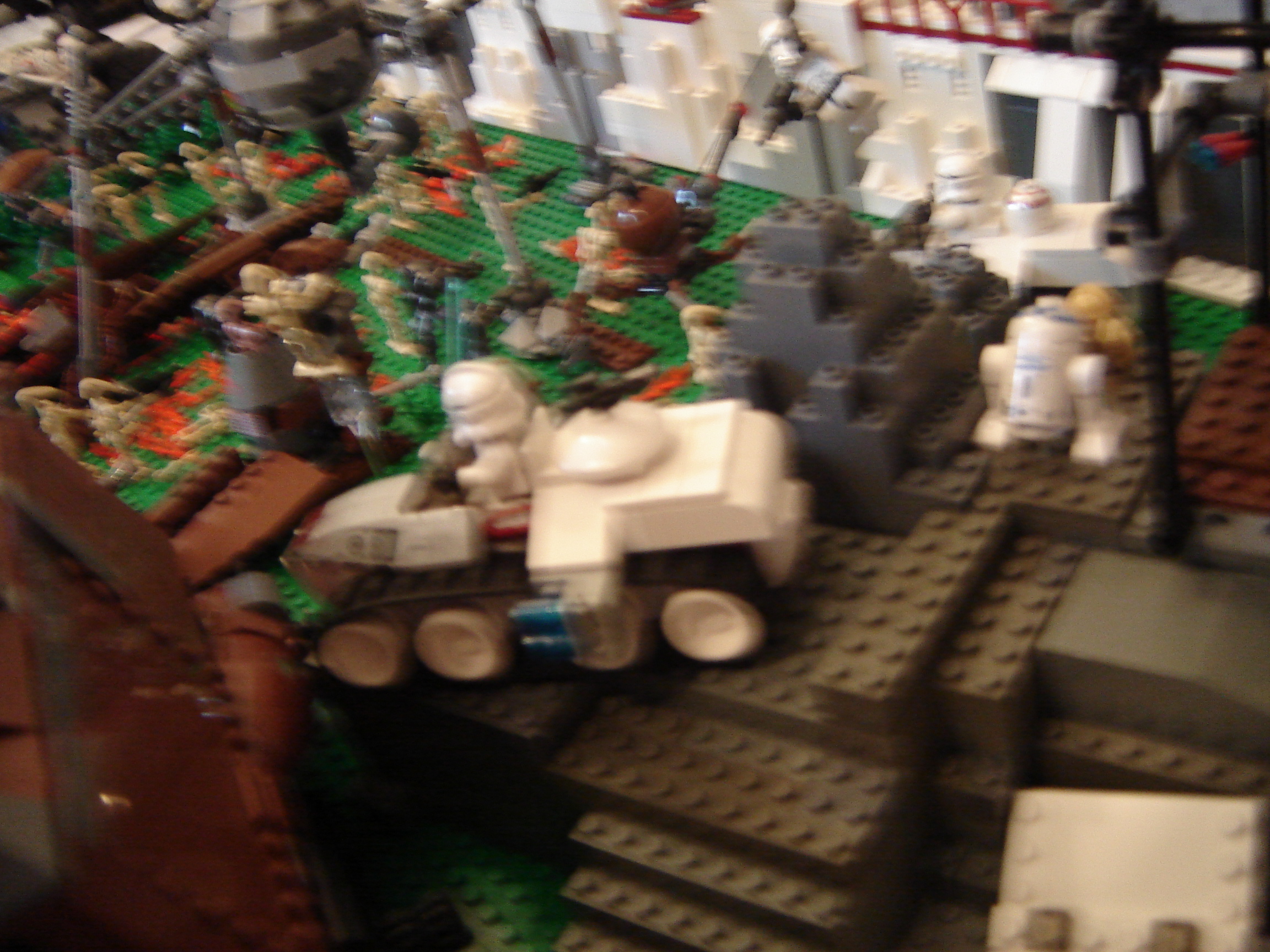 dsc01079.jpg