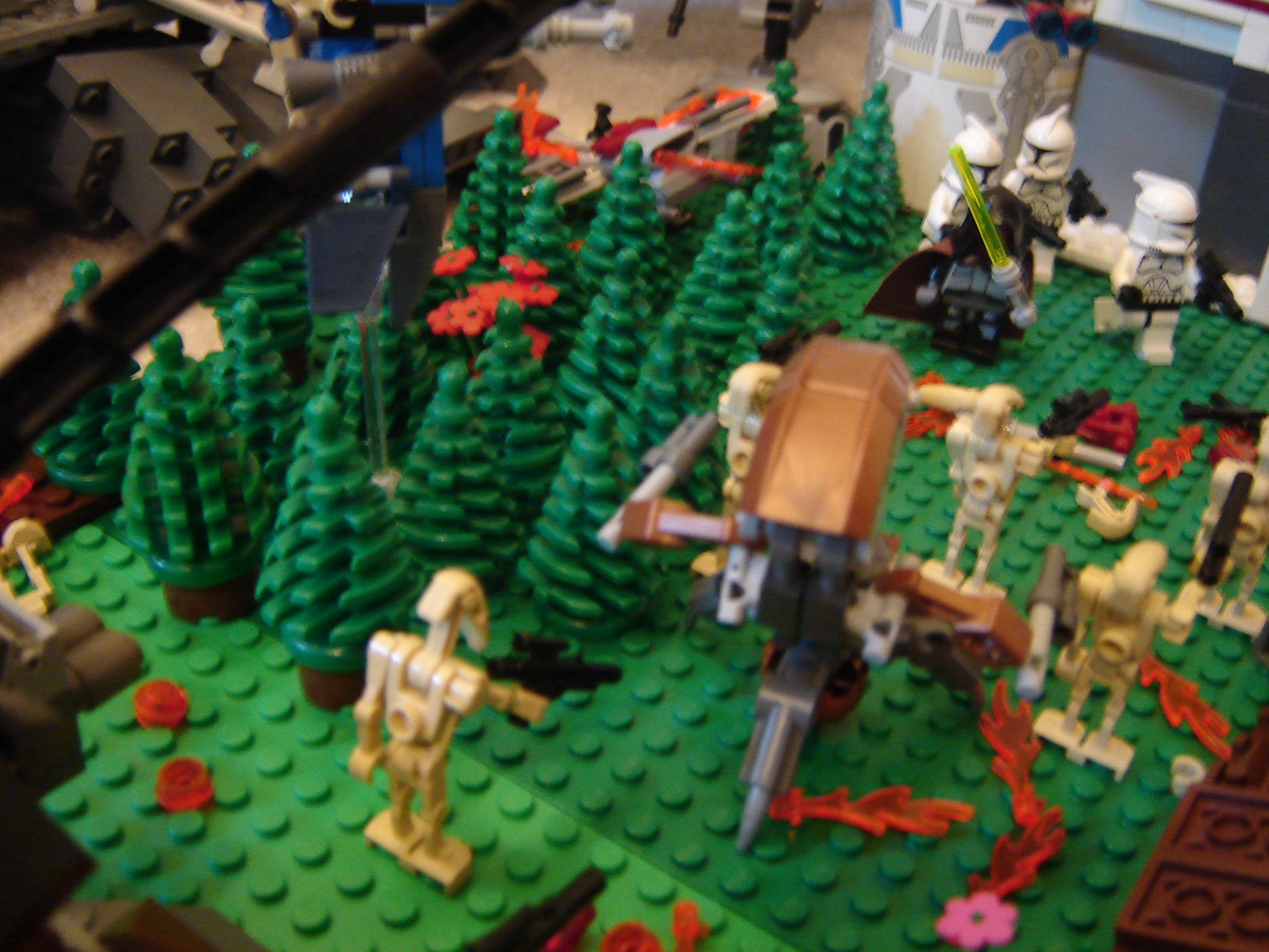 dsc01085.jpg