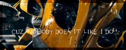 bumblebee_banner.png