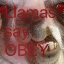 llama_av.png