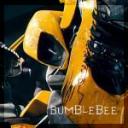 bumblebee_pp.png
