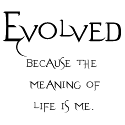 evolved_blog_header.png