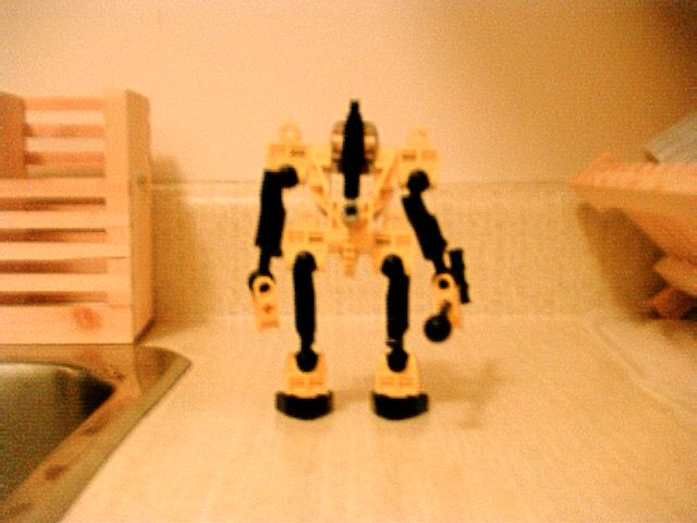 toa_of_lightning_back.jpg