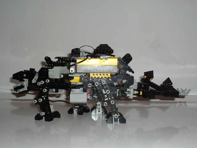 2006_0216image0004.jpg
