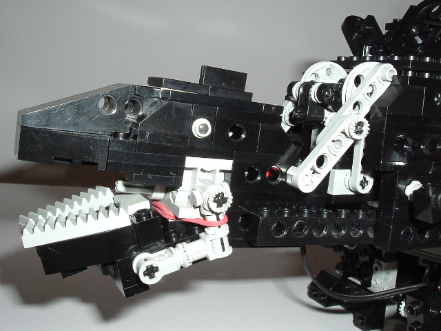 2006_0216image0011.jpg