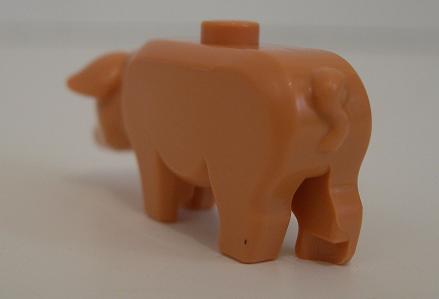 pigback.jpg