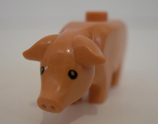 pigwrong.jpg