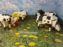 img00815-20120925-1636.jpg