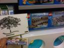 img00817-20120925-1655.jpg