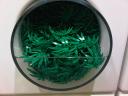 img00807-20120925-1633.jpg