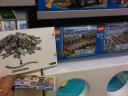 img00817-20120925-1655.jpg