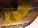 img00818-20120925-1708.jpg