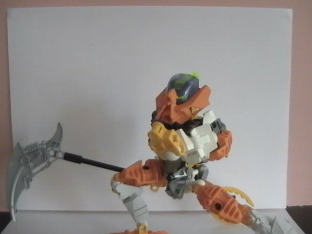 bionicle_campics_4_011.jpg
