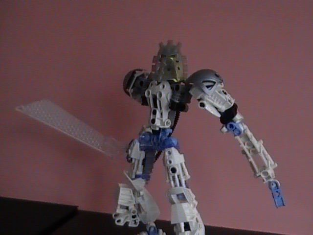 bionicle_campics_4_019.jpg