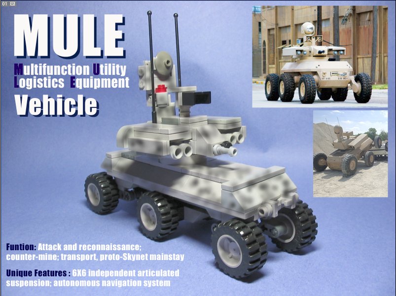 mule.jpg