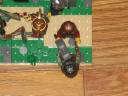 010.jpg