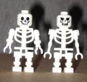 Skeletoncomparison