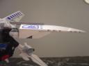 wing.jpg