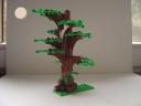 tree1.jpg