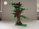 tree2.jpg