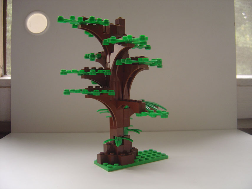 tree1.jpg