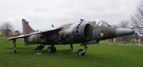 harrier.jpg