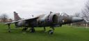 harrier.jpg