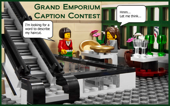 rufus_caption_entry.jpg