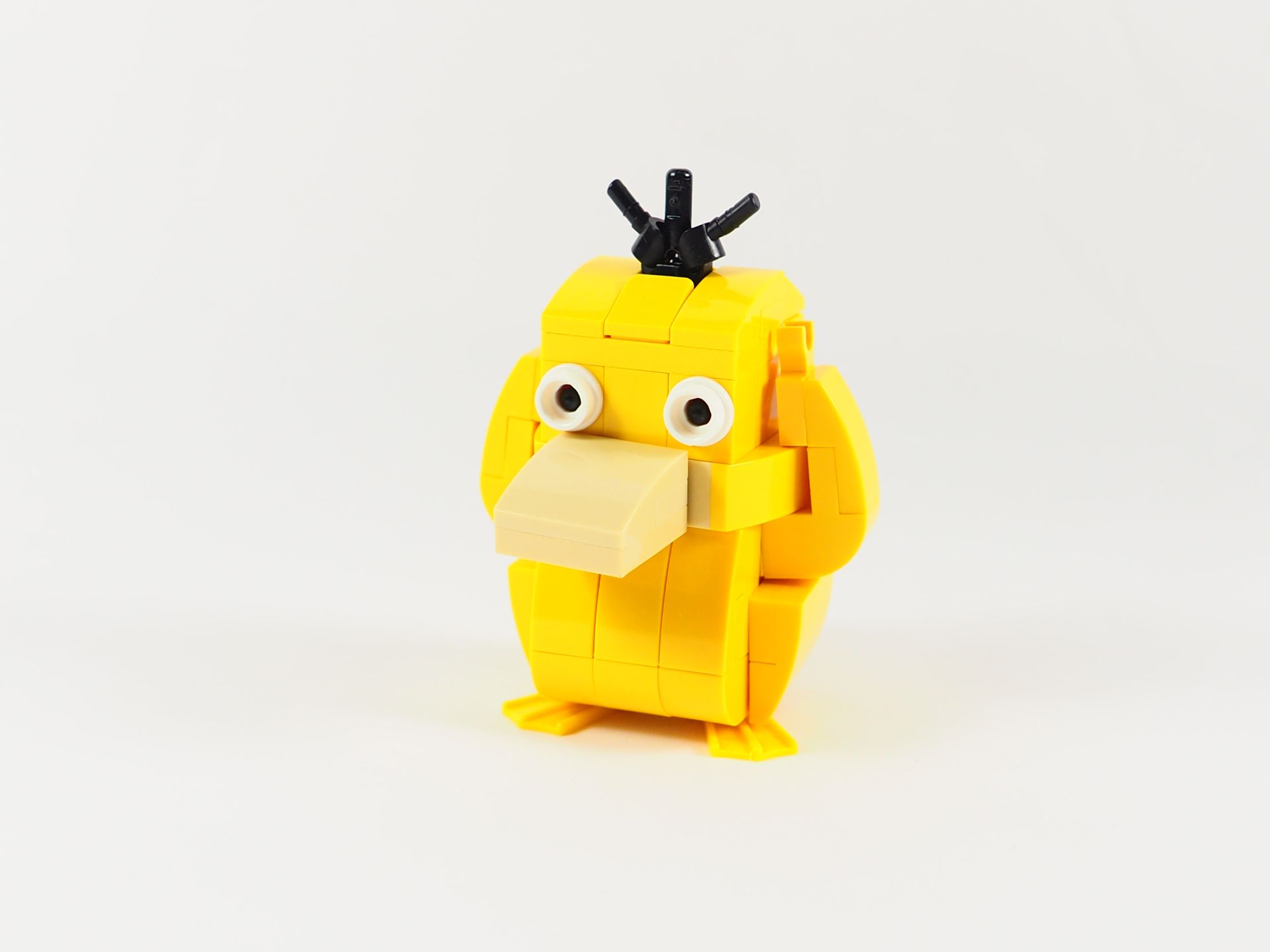 003.jpg