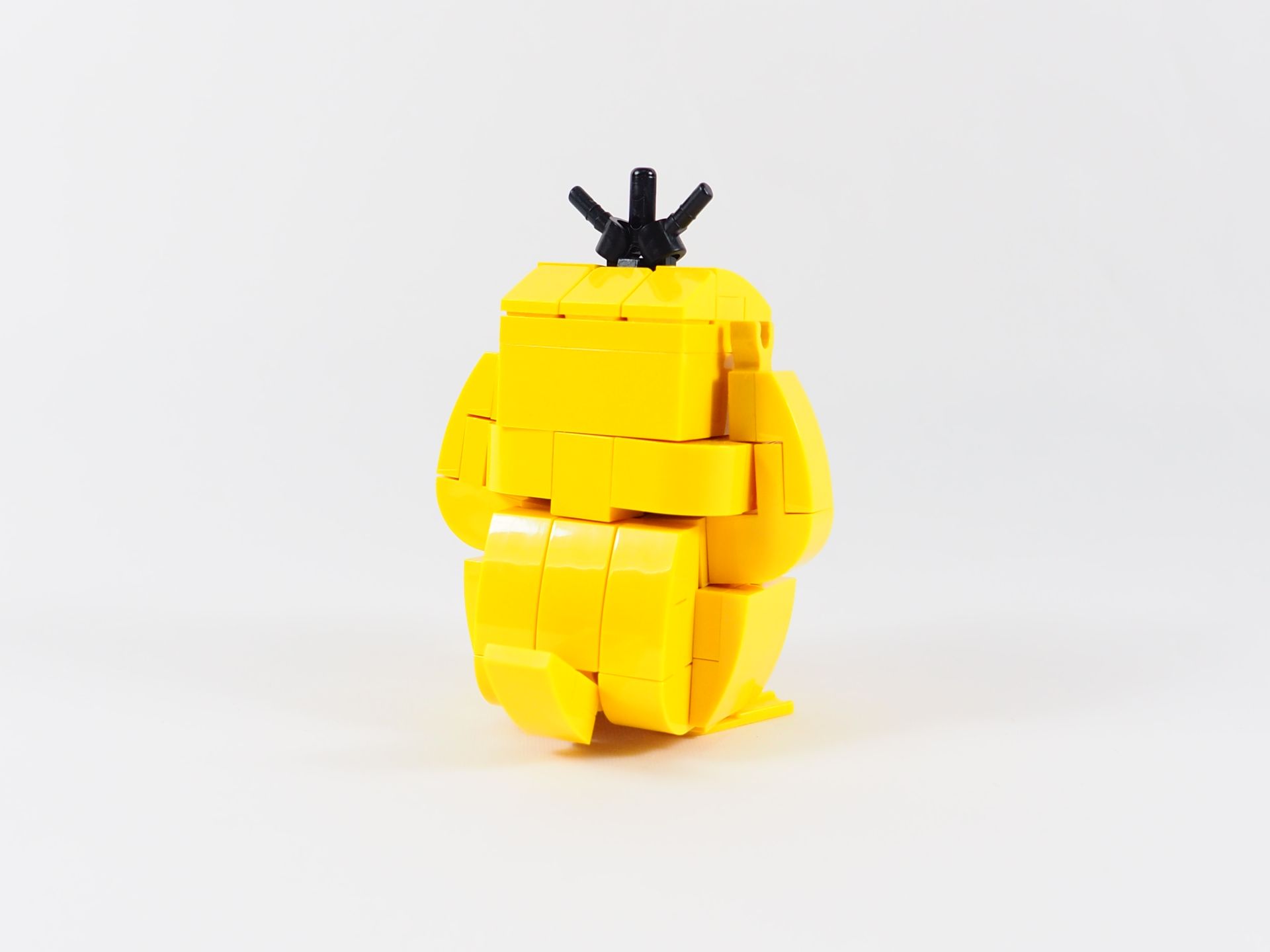 005.jpg