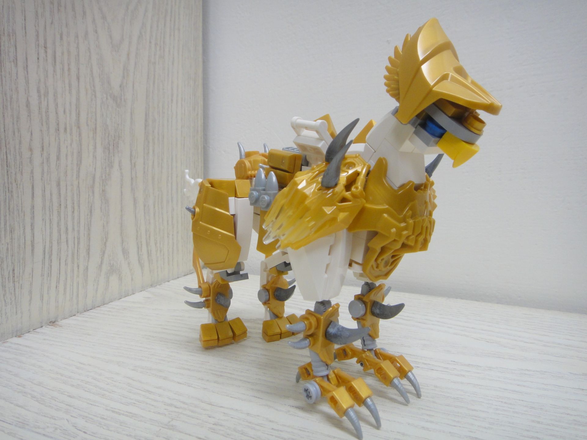 005.jpg
