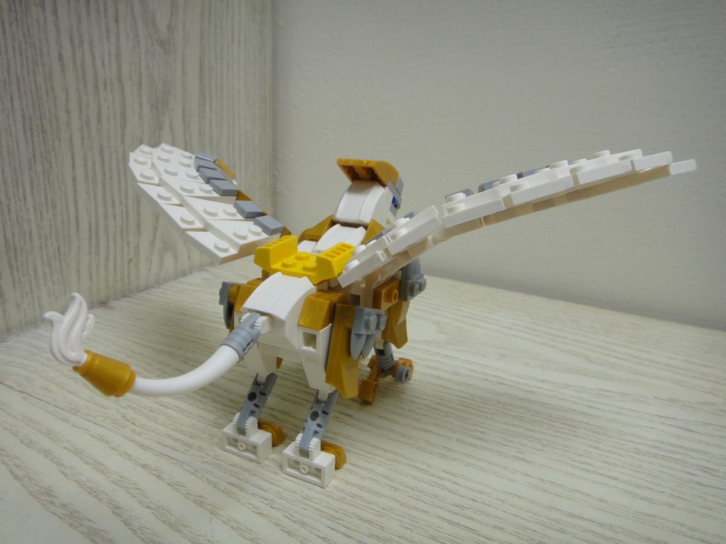 003.jpg