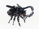 Dung-Beetle