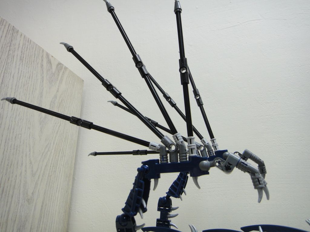 006.jpg